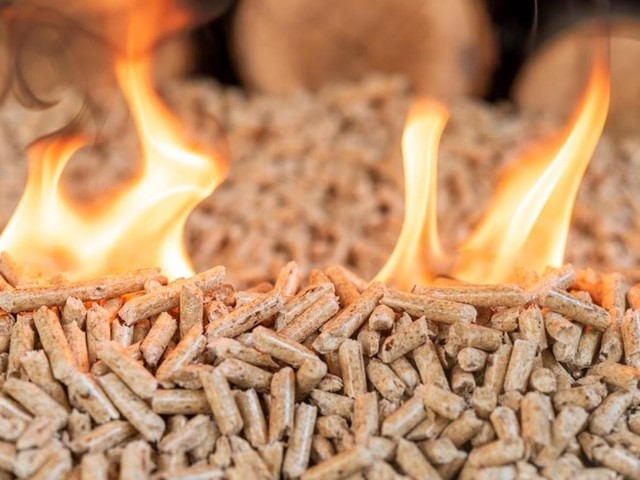 Comprar Pellets