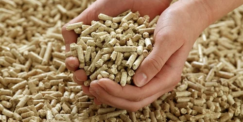 pellets